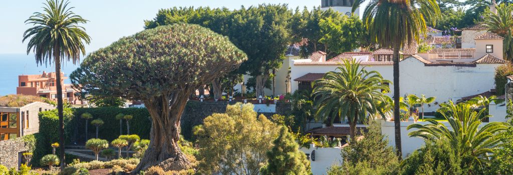 Icod de los Vinos : Activités incontournables - Explore-Canaries