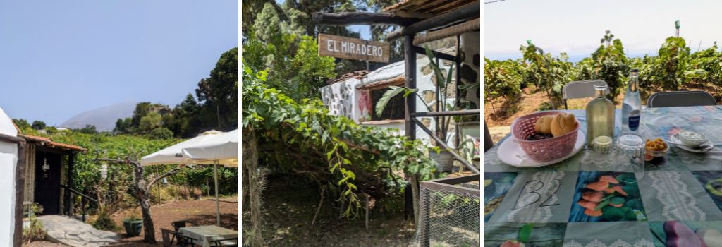 guachinche tenerife