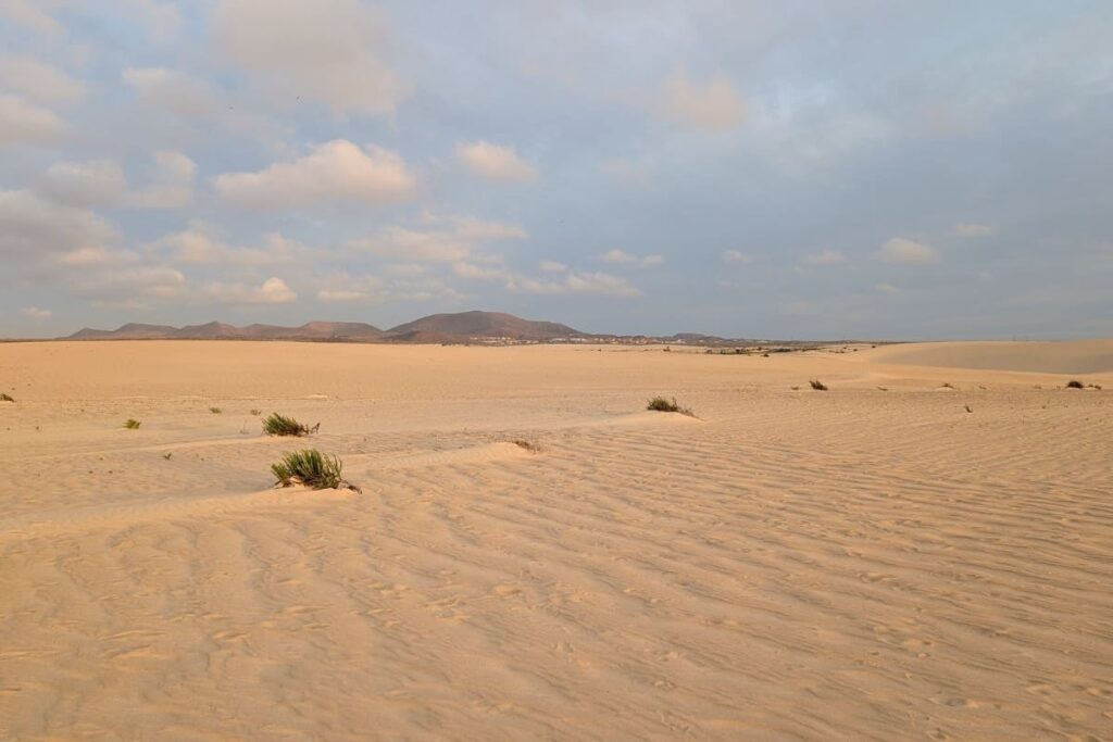 Dunes de Corralejo
