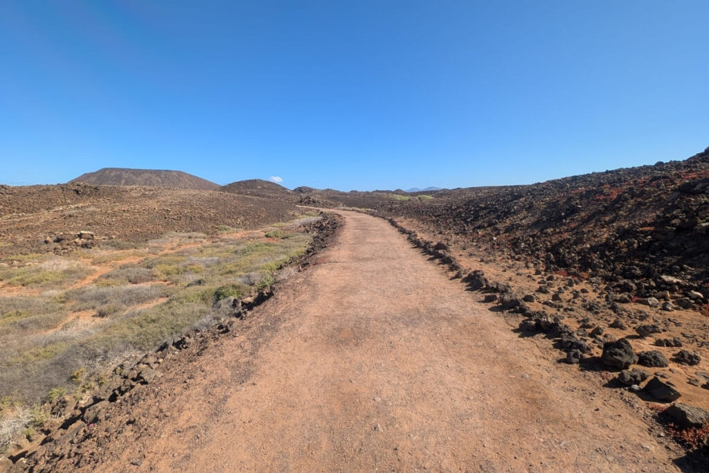 Isla de lobos