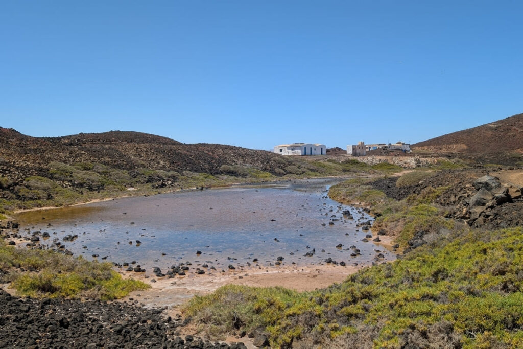 Isla de lobos