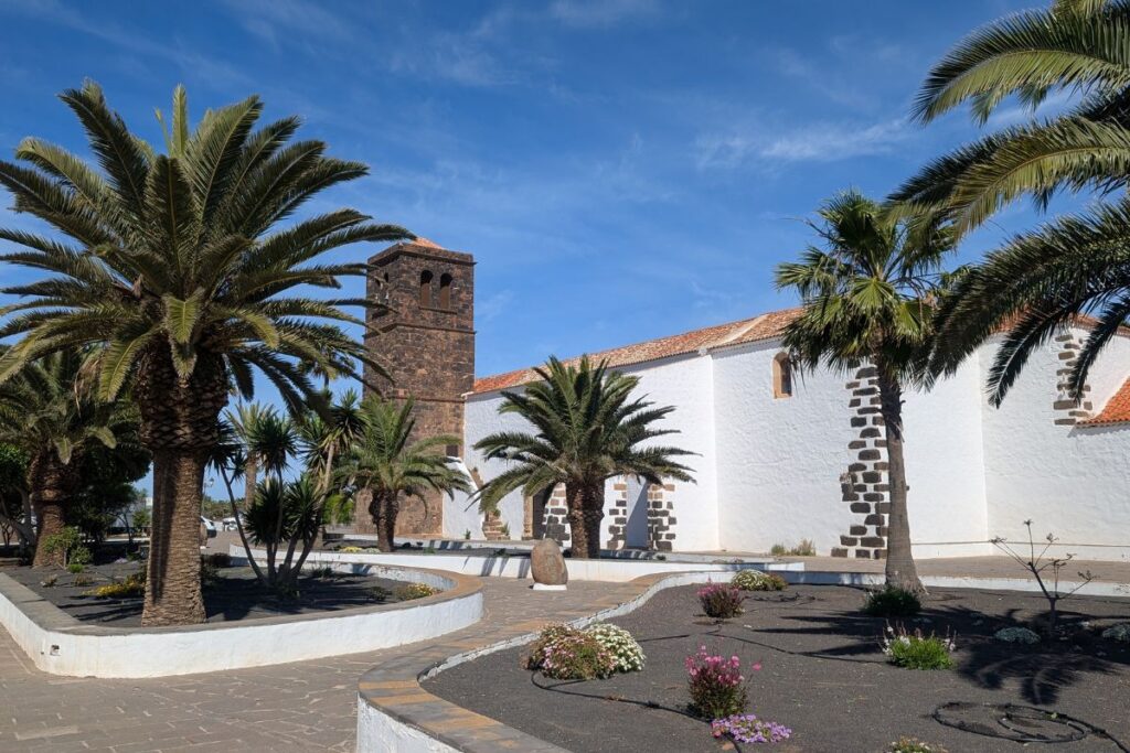 La oliva