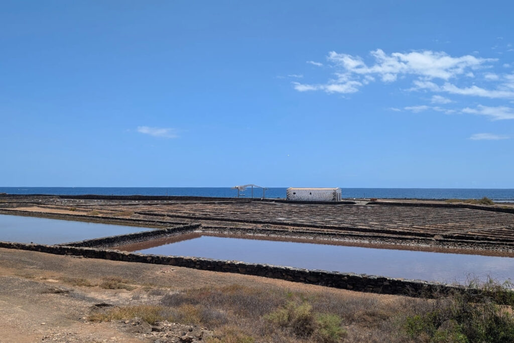 Salinas Fuerteventura