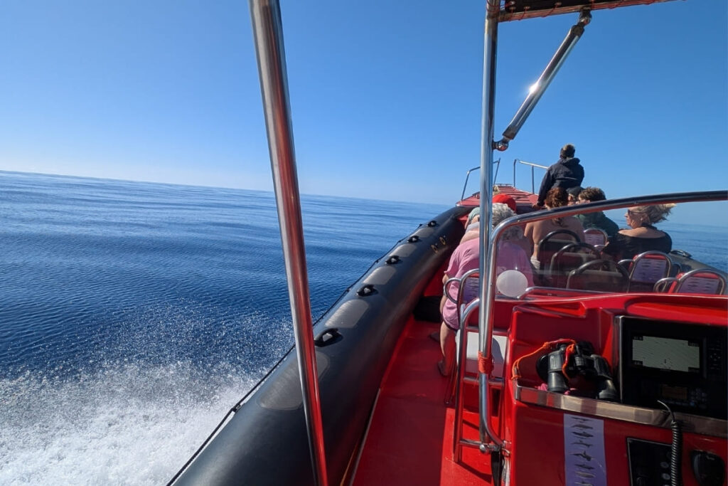 bateau fuerteventura