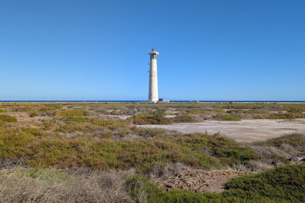 el saladar