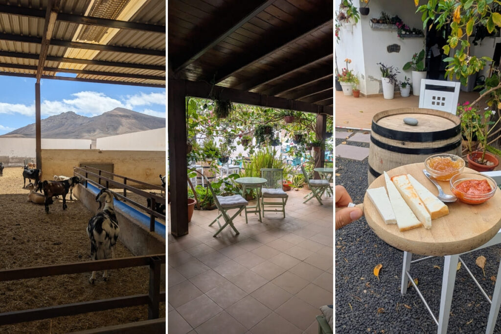 fromagerie fuerteventura