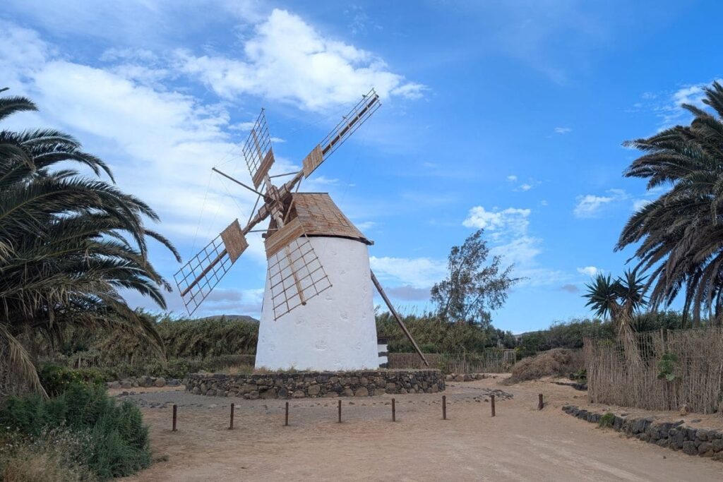 molino del roque 
