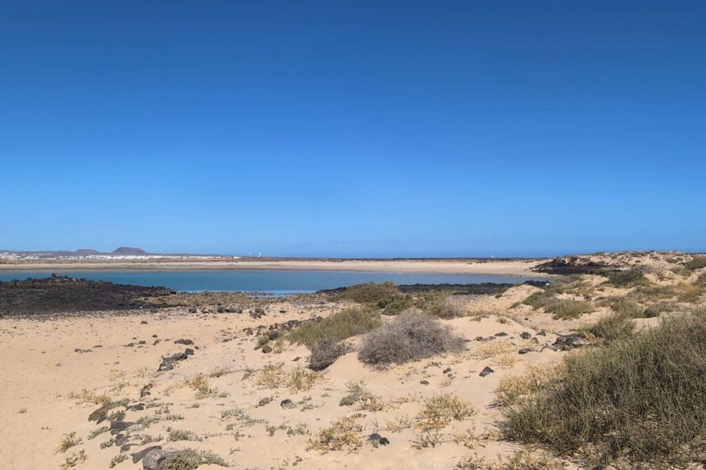 playa de la concha isla de lobos