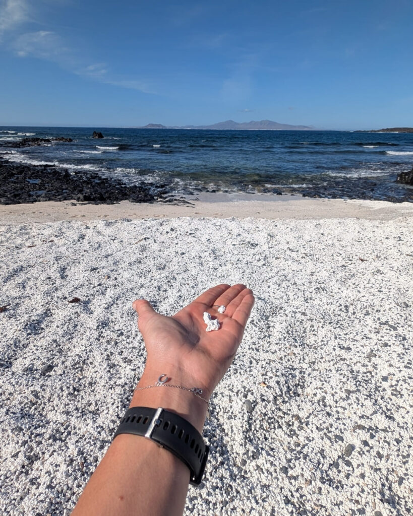PopCorn Beach