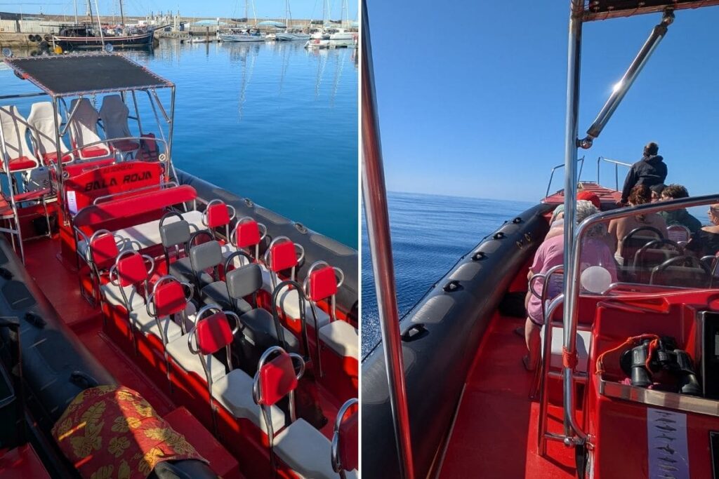 speedboat fuerteventura