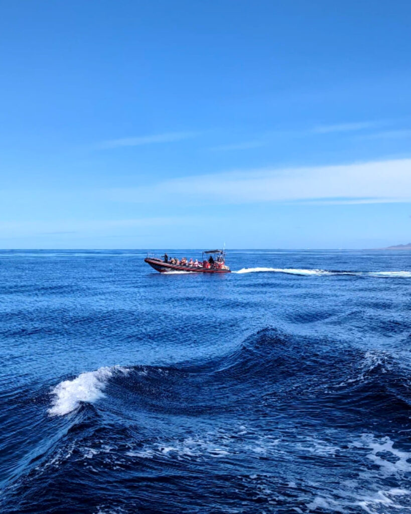 speedboat fuertevneutra